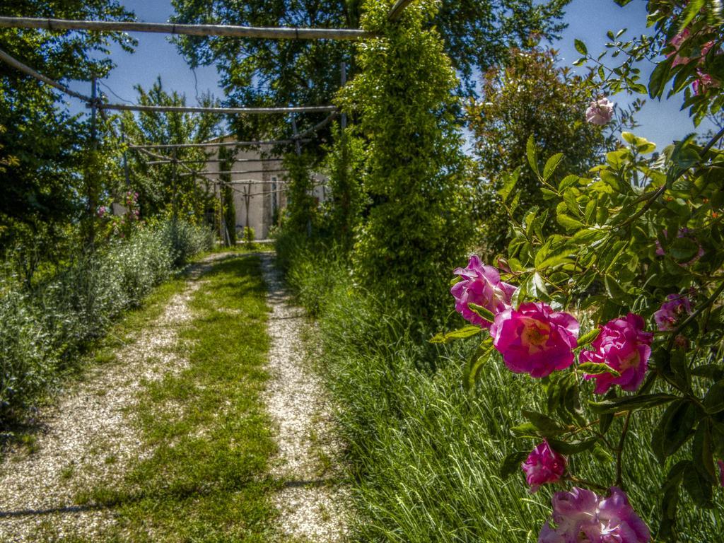 Agriturismo Cignale Penne Exteriör bild