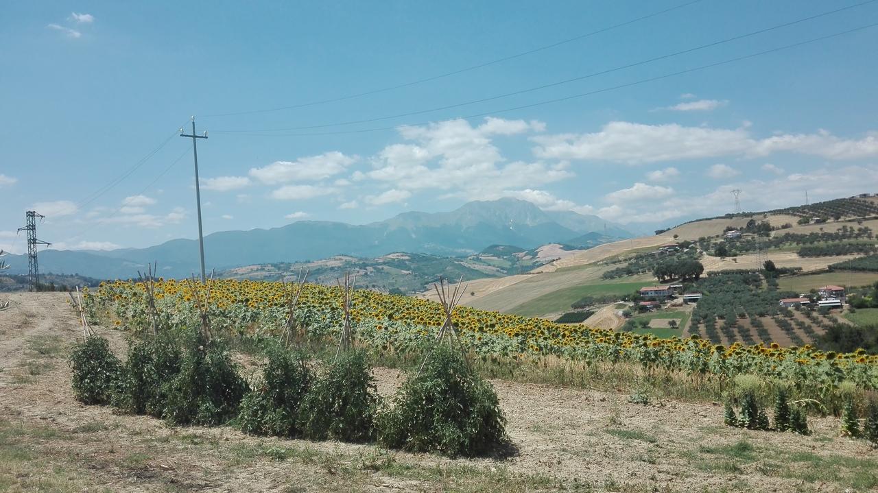 Agriturismo Cignale Penne Exteriör bild